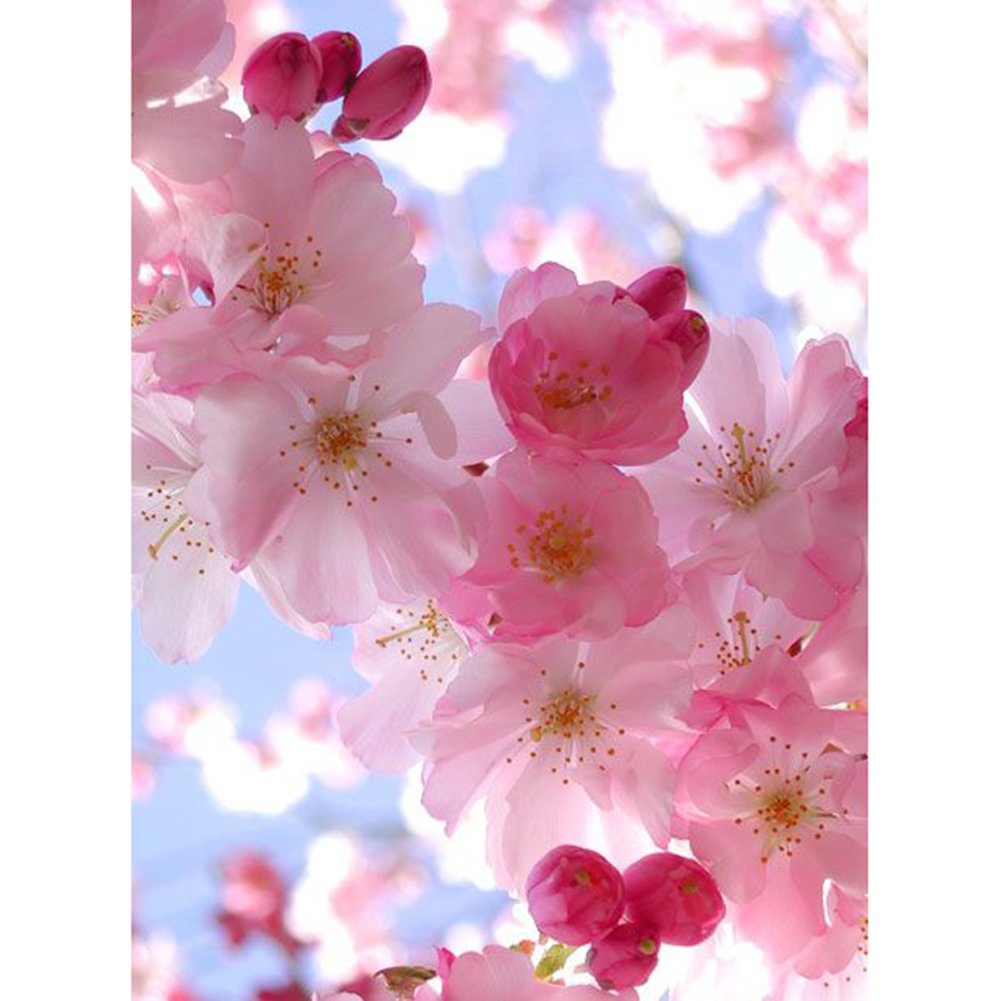 Cherry Blossoms - Full Round - Diamond Painting