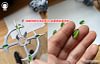1/20 Scale World Zukan Arceus - Pokemon Resin Statue - Wang Wang Studio
