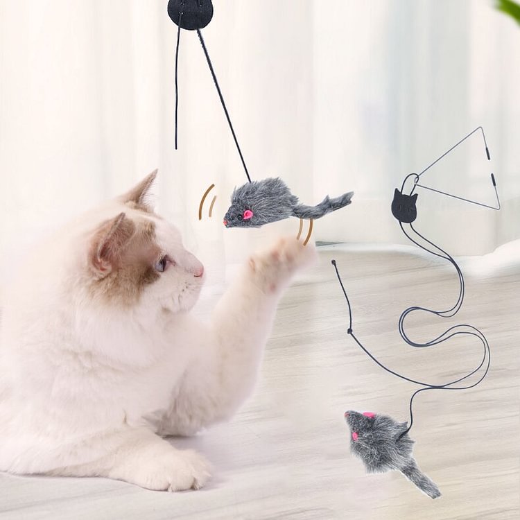 Hanging Door Self-hey Cat Toy