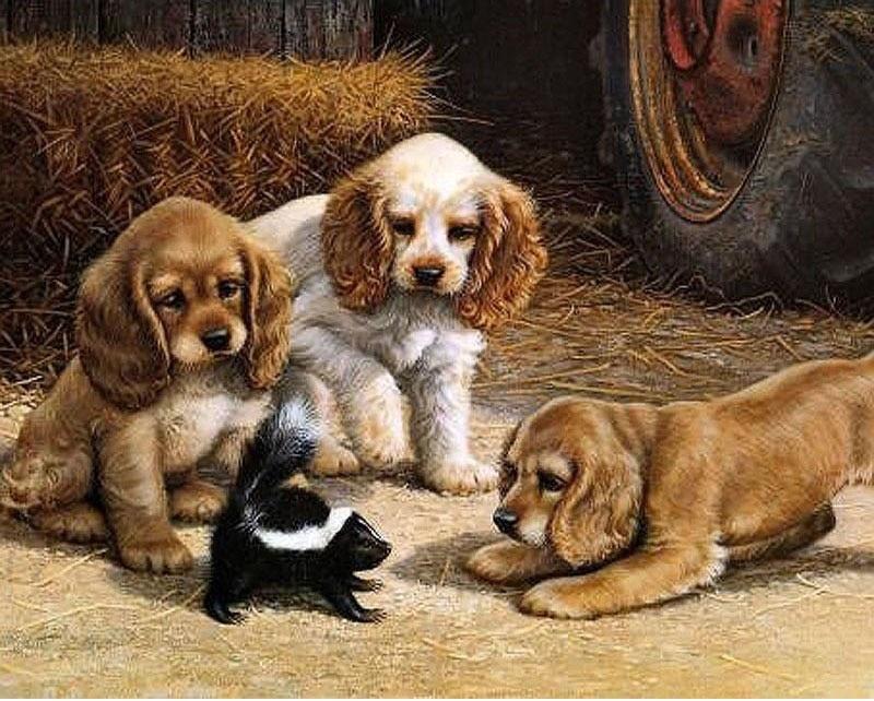 

Puppies – Paint By Numbers - 40*50CM, 501 Original