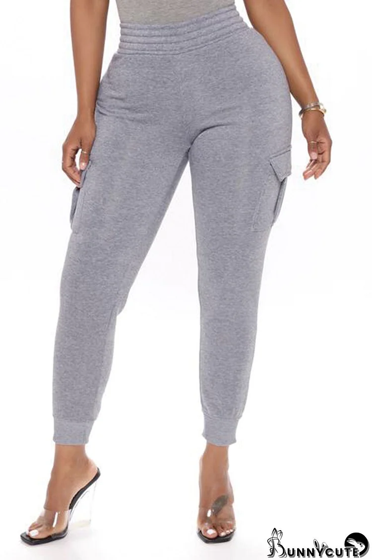 Light Gray Casual Solid Basic Regular High Waist Pencil Trousers