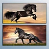 2 stücke galoppierendes pferd partielle ab-bohrer volle runde dimond gemälde 33,46 x 17,72 zoll