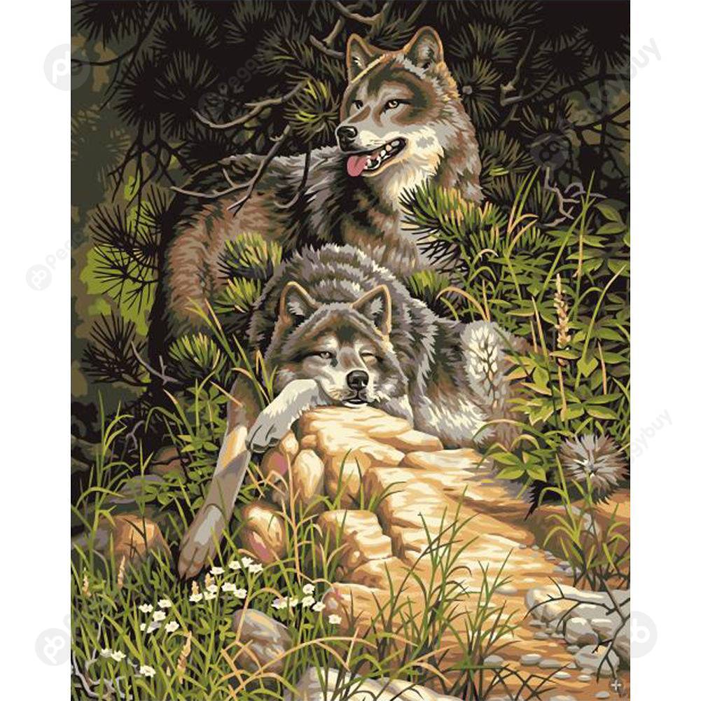 

40*50CM Paint By Numbers-Resting Wolf, 501 Original
