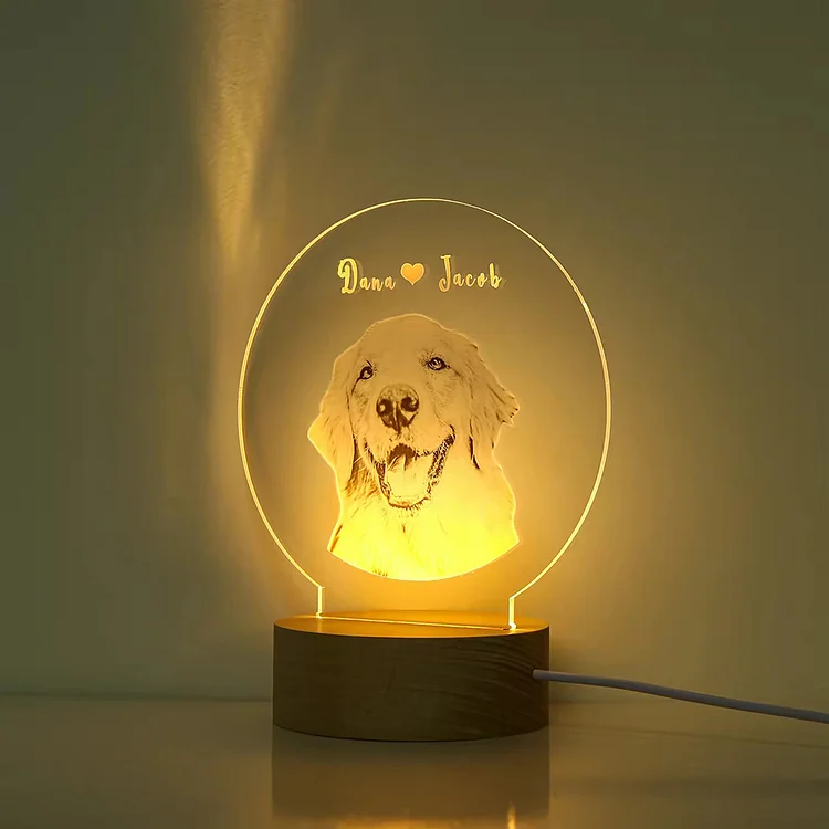 Custom Photo 3D Acrylic Wooden Base LED Night Lights