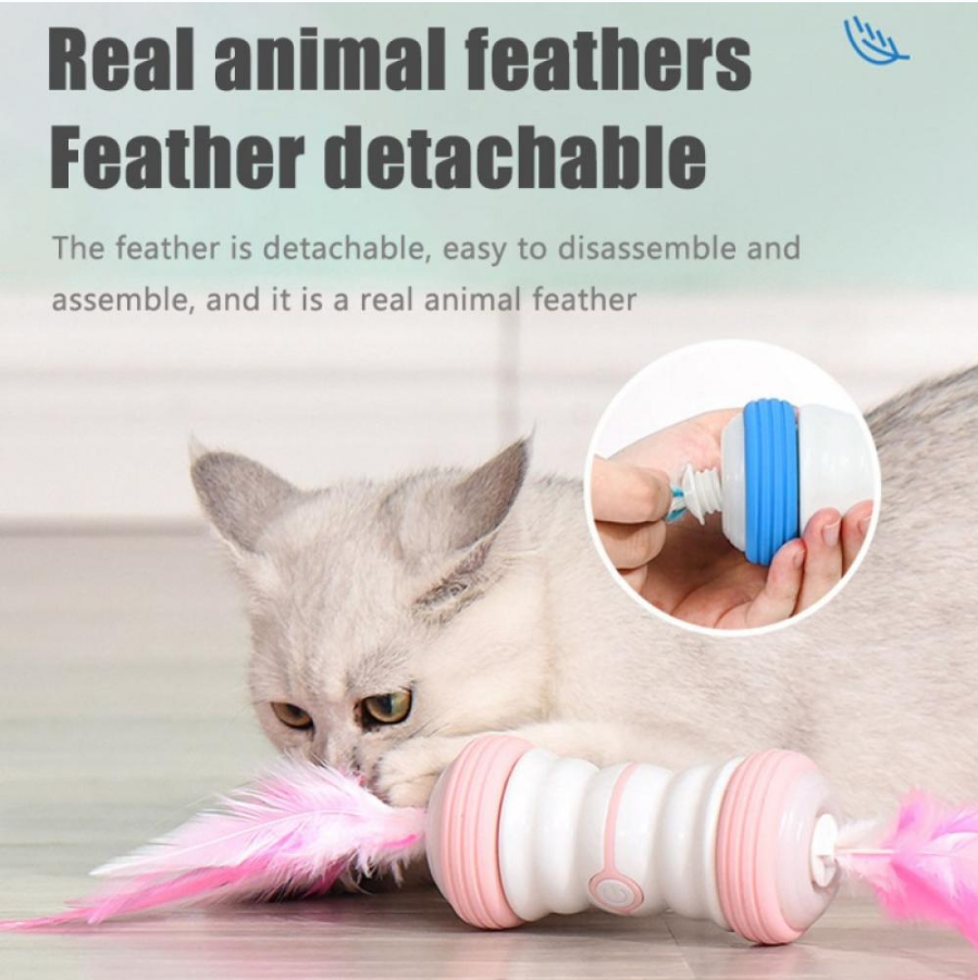 Rechargeable Pet Cat Interactive Toys
