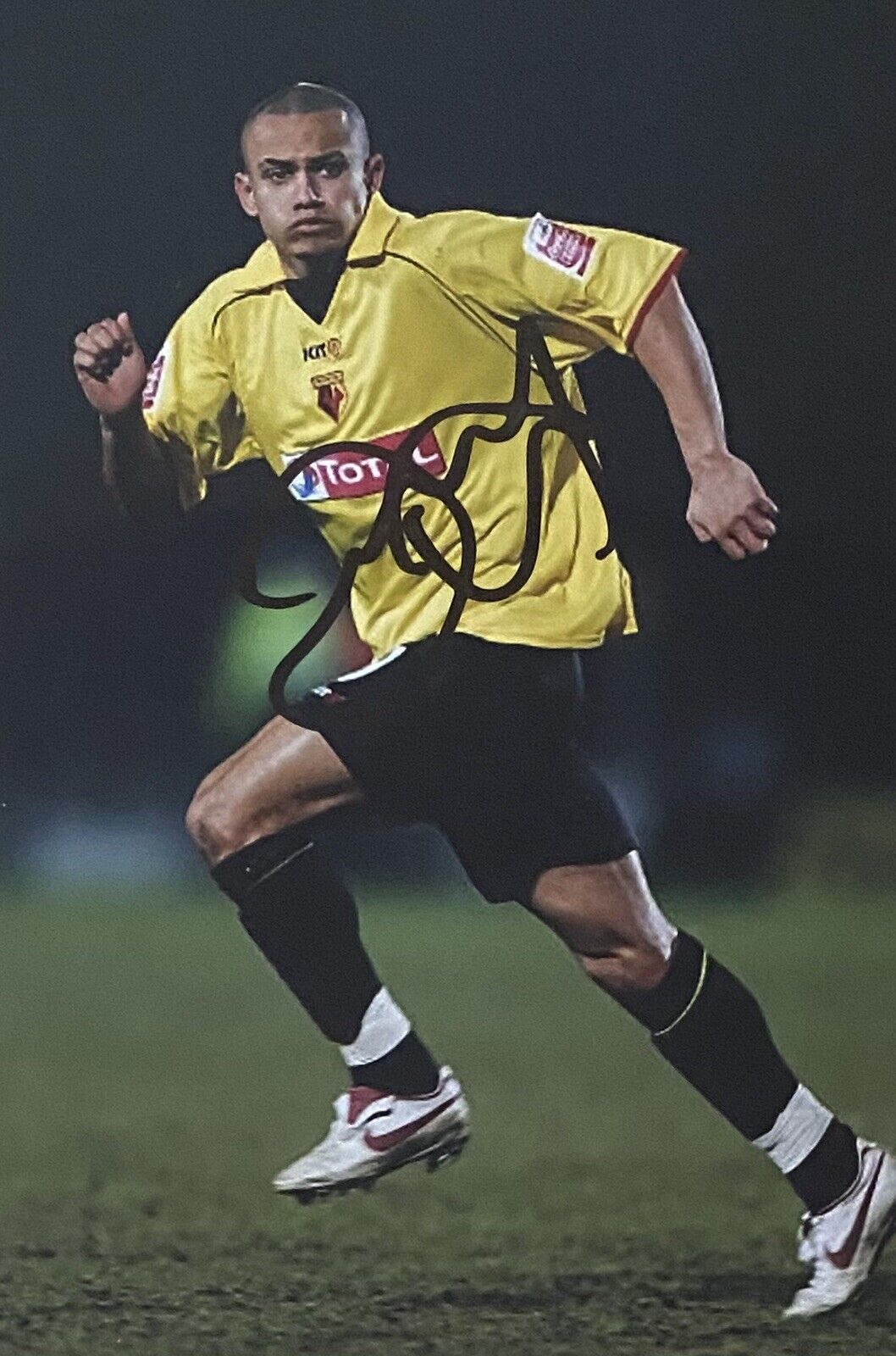 Danny Webber Genuine Hand Signed Watford 6X4 Photo Poster painting