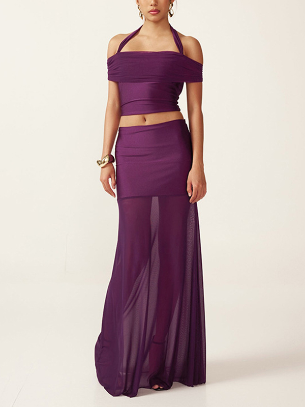 Halter Neck Backless Top And Sheer Mesh Skirt Two-Piece Set