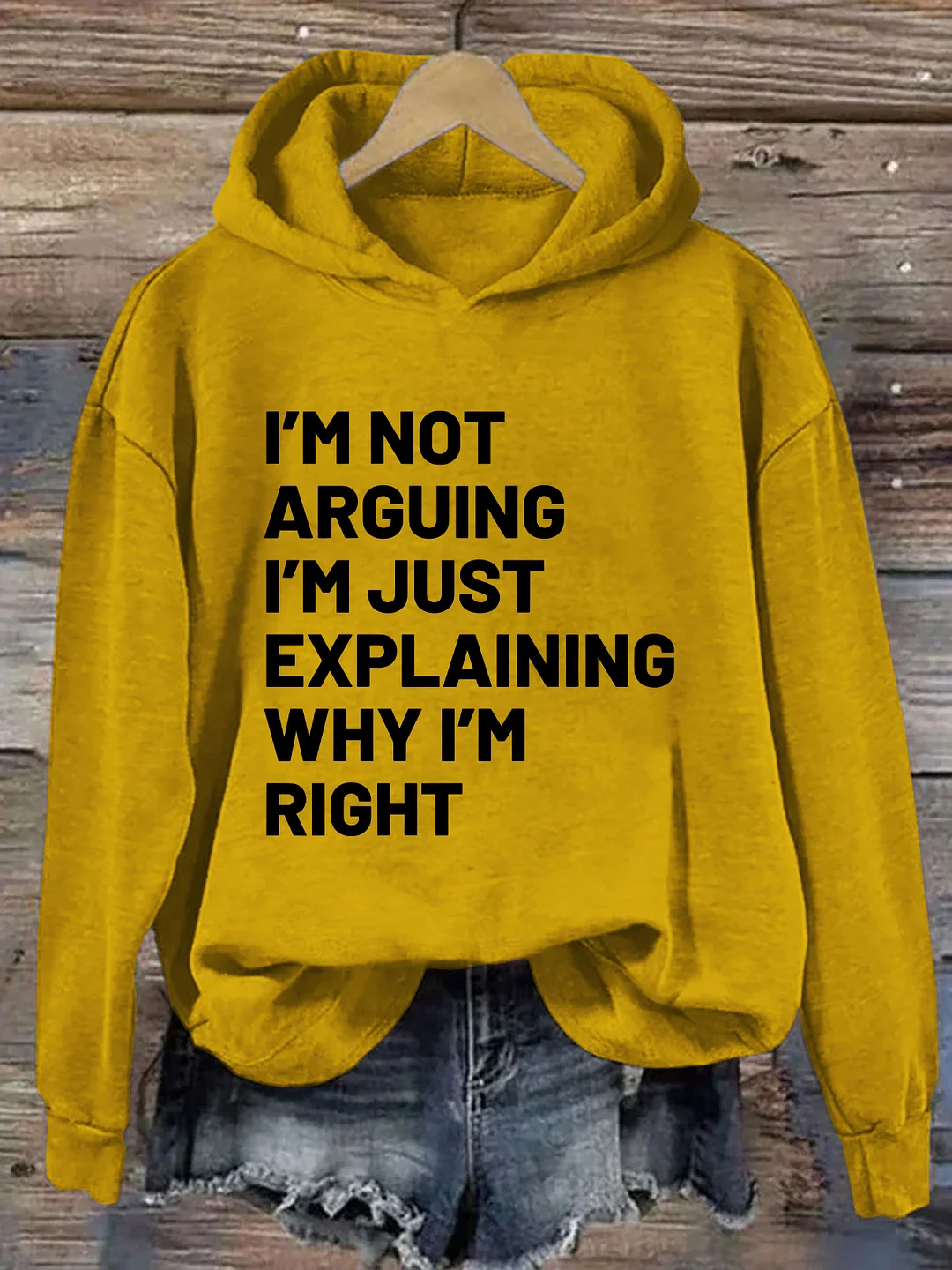 Not Arguing I'm Just Explaining Why I'm Right Hoodie