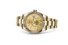Rolex 326938 Sky-Dweller Champagne-Colour - New