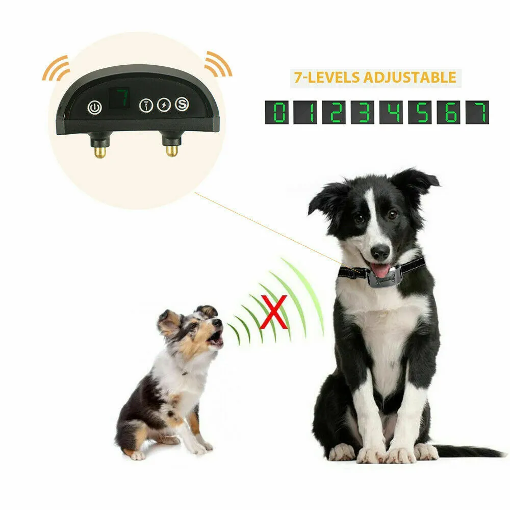 ELECTRIC DOG TRAINING COLLAR