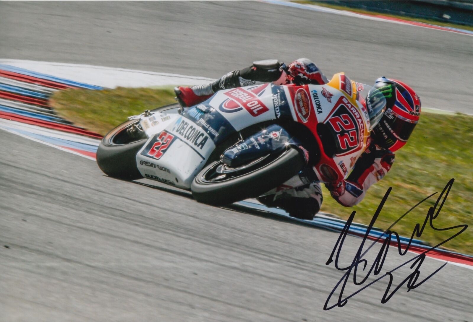 Sam Lowes Hand Signed 12x8 Photo Poster painting Gresini Kalex Moto2 2016 MOTOGP 3.