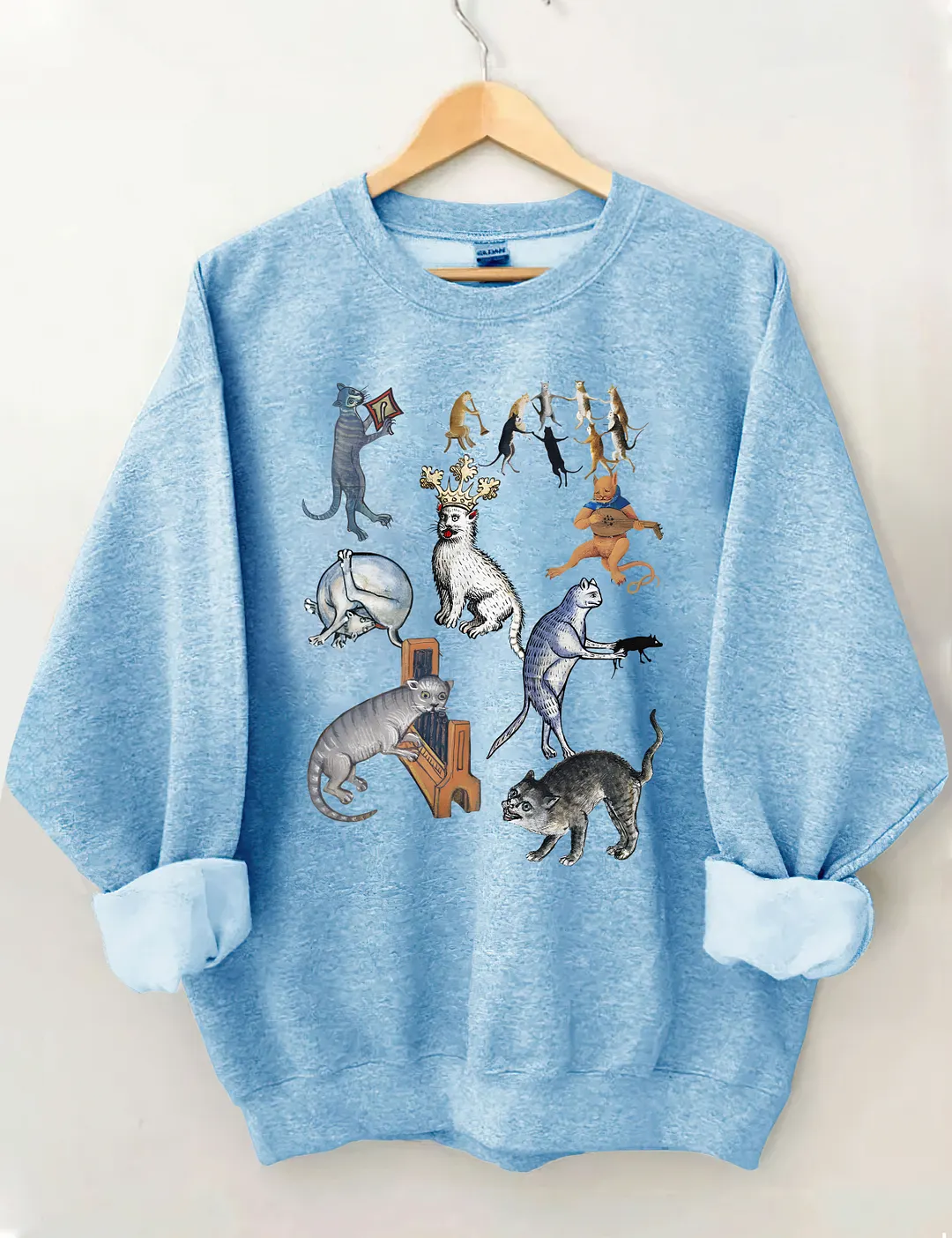 Weird Medieval Cat Party Sweatshirt