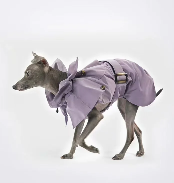 Dog Coat Windbreaker with Belt roarxlpet
