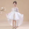 Kid Girl Princess Dress Flower Wedding Evening Dress