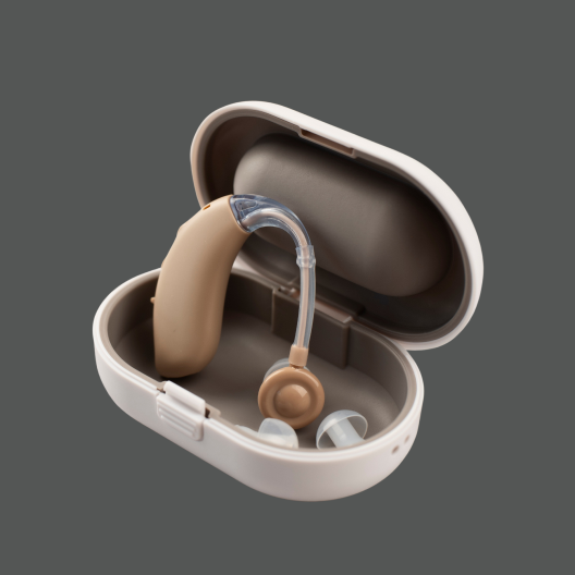 Earphone