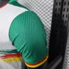 2025 Player Version Cameroon Soccer Jersey Second Away