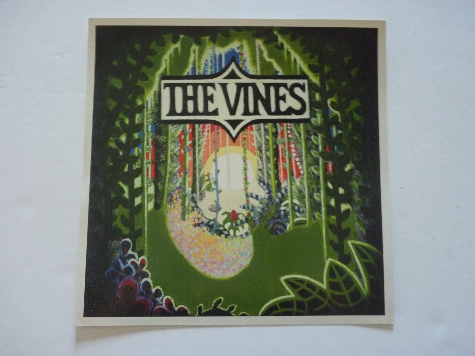 The Vines Highly Evolved 2002 LP Record Photo Poster painting Flat 12X12 Poster