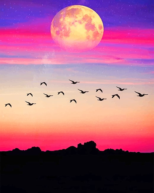 

Purple View Silhouette – Paint By Numbers - 40*50CM, 501 Original