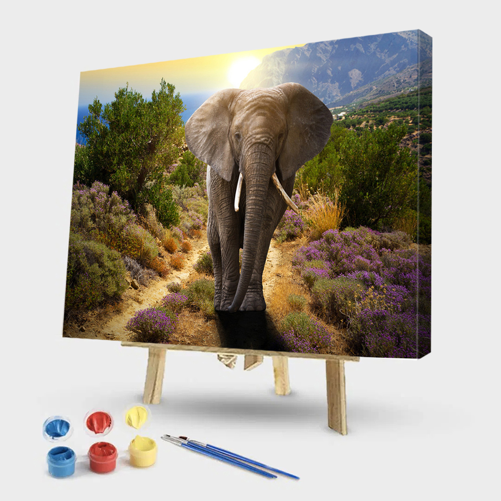 

40x50cm - Paint By Numbers Natural Elephant, 501 Original