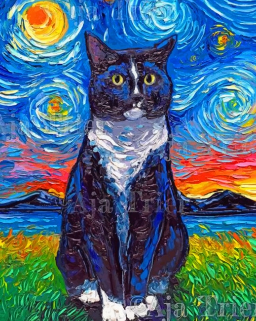 

Cat In A Starry Night – Paint By Numbers - 40*50CM, 501 Original