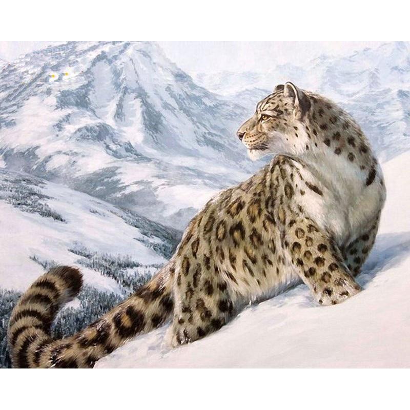 

Snow Leopard – Paint By Numbers - 40*50CM, 501 Original