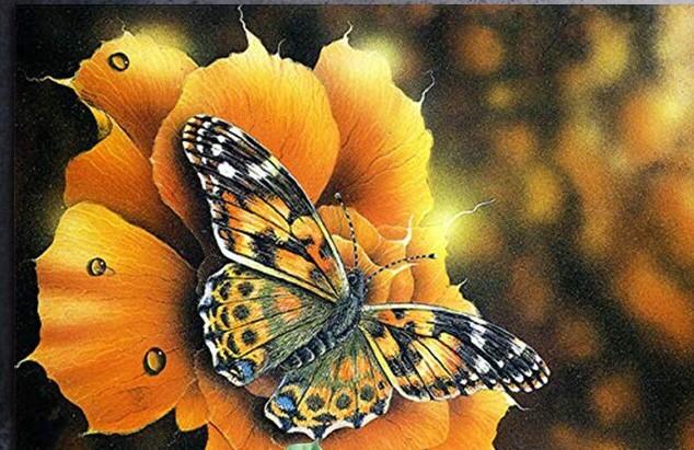 

Autumn Butterfly – Paint By Numbers - 40*50CM, 501 Original