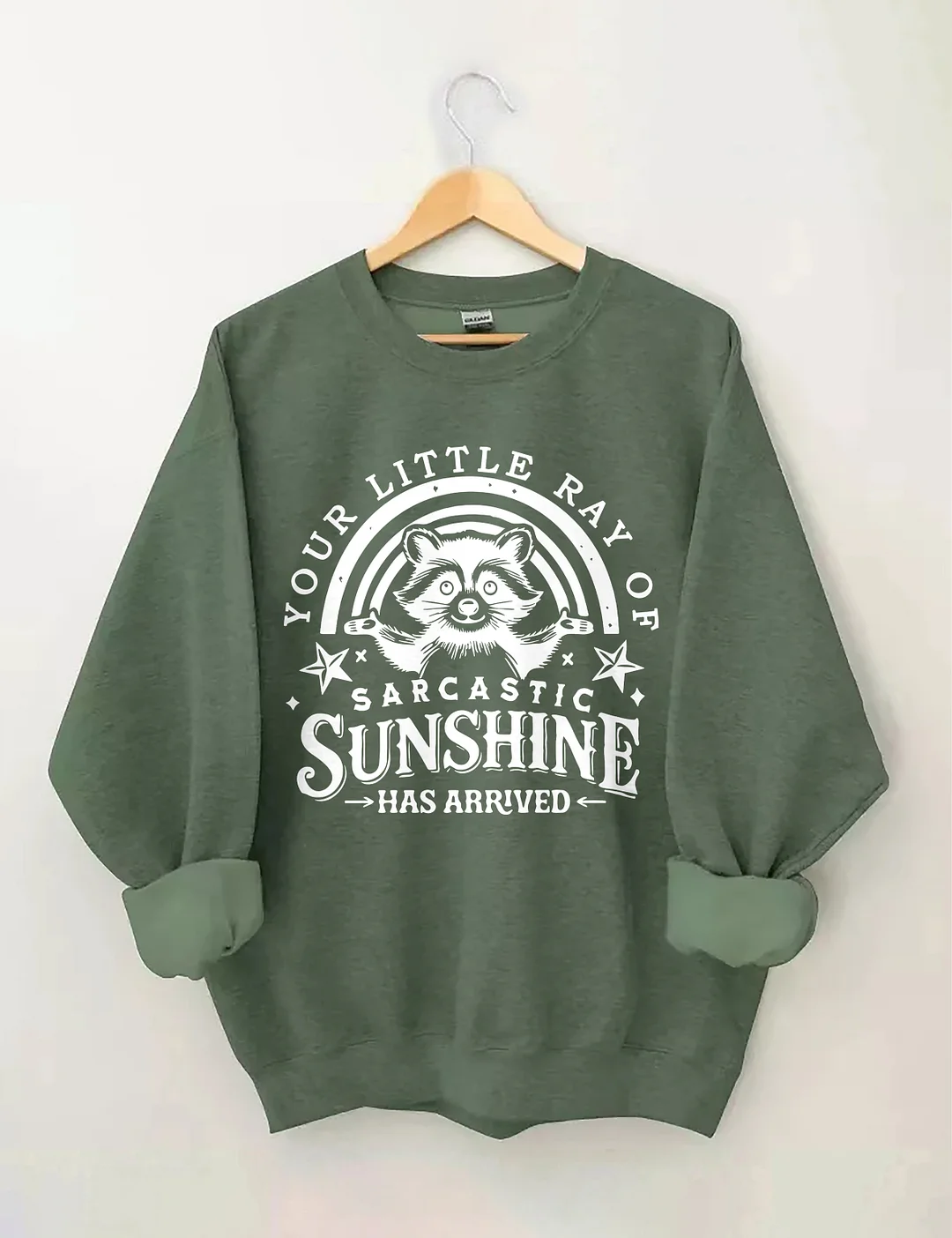 Your little Ray Of Sarcastic Sunshine Has arrived Sweatshirt
