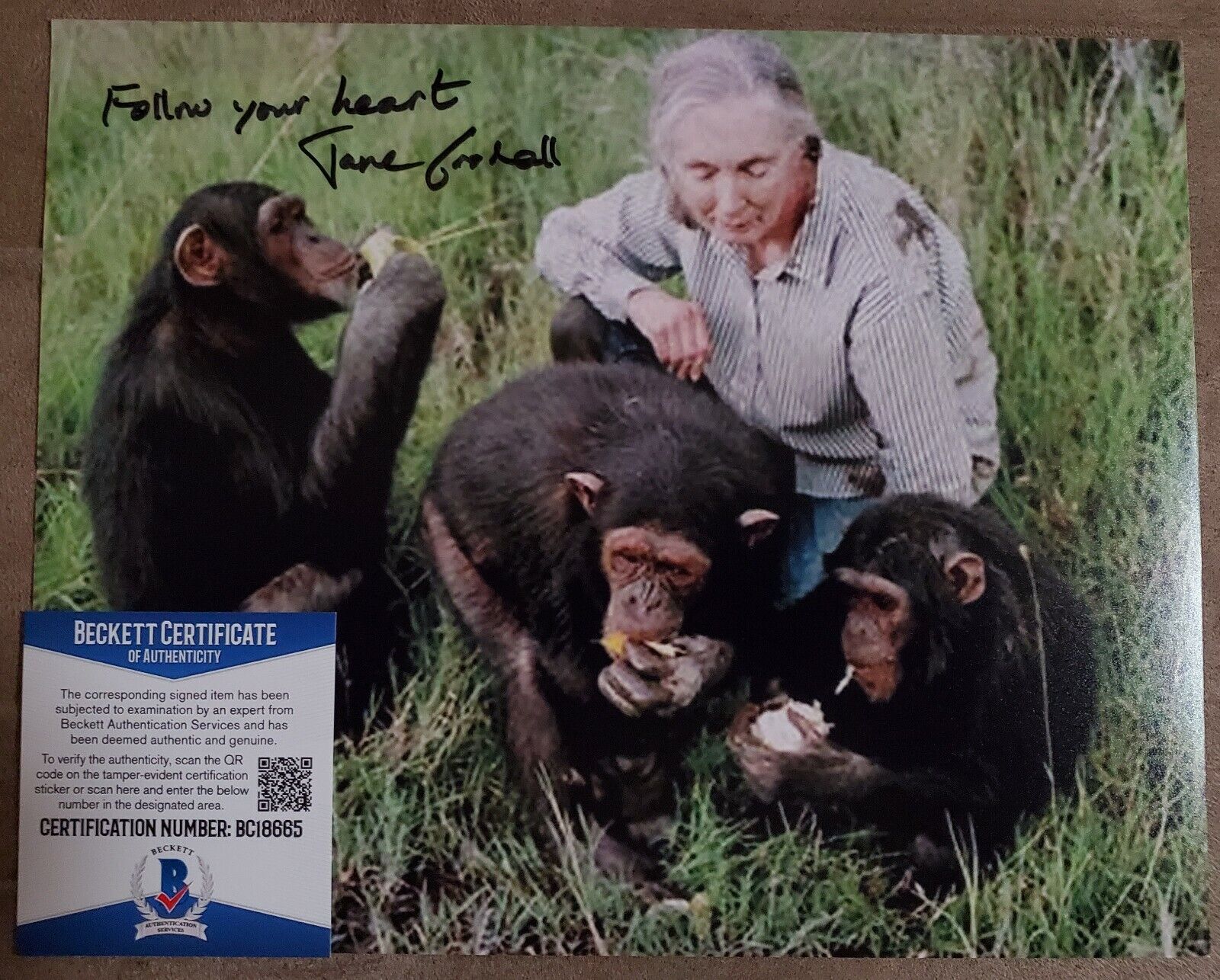 JANE GOODALL SIGNED AUTOGRAPHED 8X10 Photo Poster painting BAS BECKETT COA