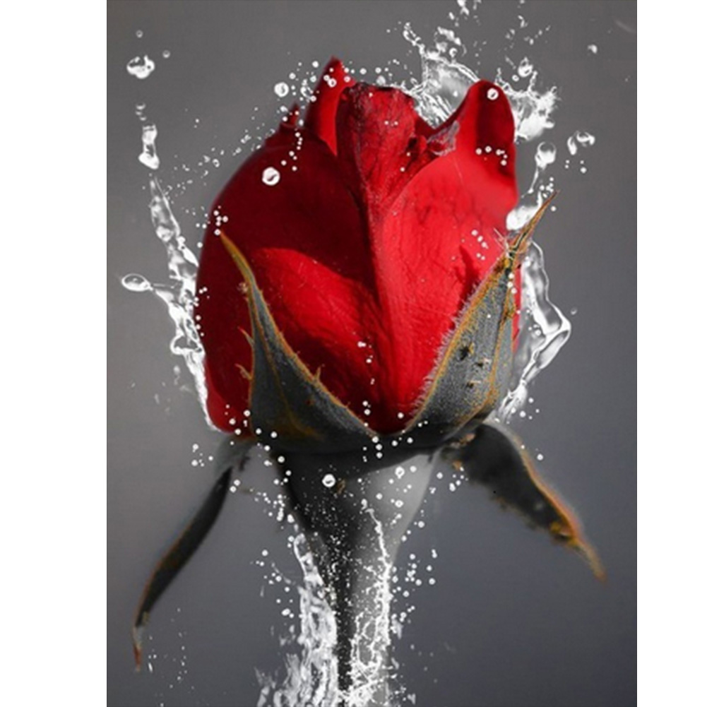 

30*40CM - Round Drill Diamond Painting - Red Rose, 501 Original