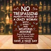 Warning No Trespassing - Vintage Metal Signs(12*16Inch) - Warning