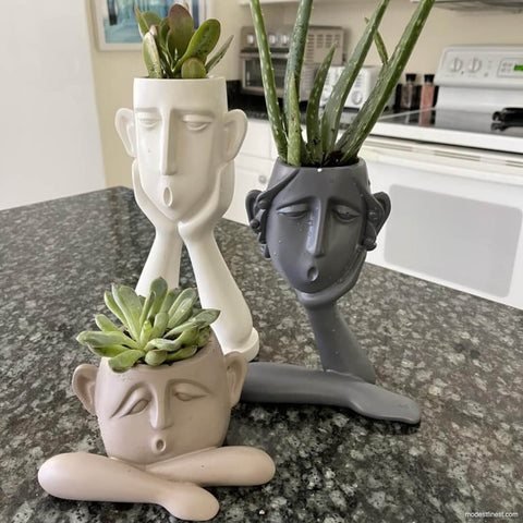 Modest Finest Conversational Trio Planters
