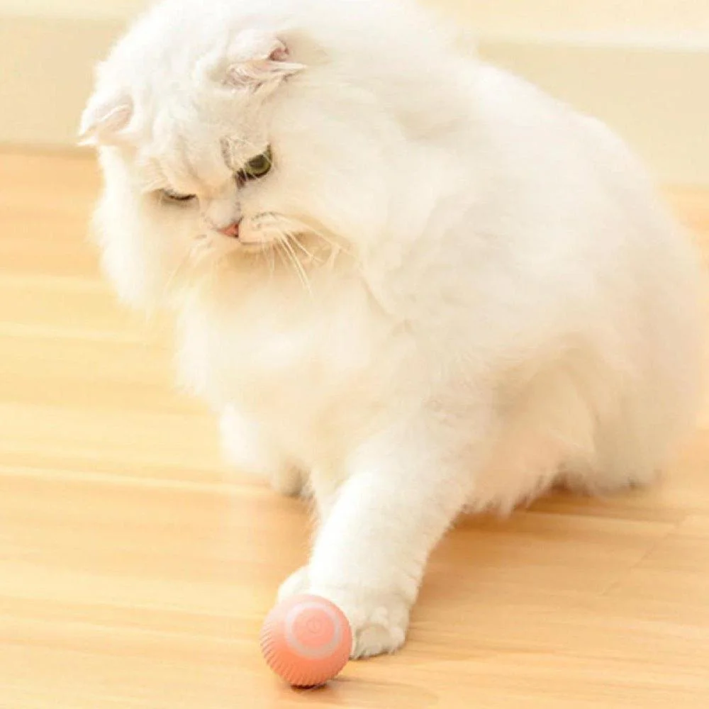 Smart Cats Toy Electric Ball
