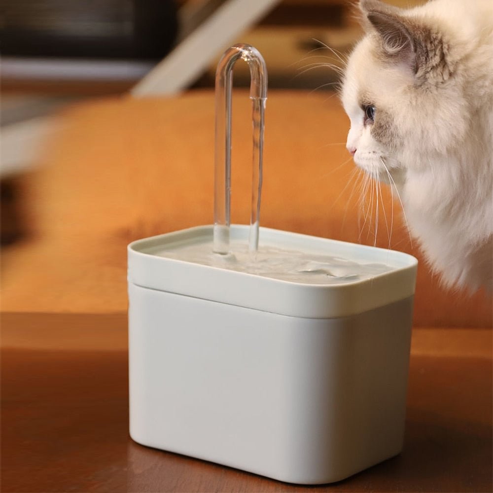 Anti Bacterial Pet Water Dispenser