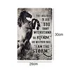 Horse - Vintage Metal Signs - 30*40cm - Western&Farm