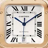 SANTOS DE CARTIER WATCH WGSA0018