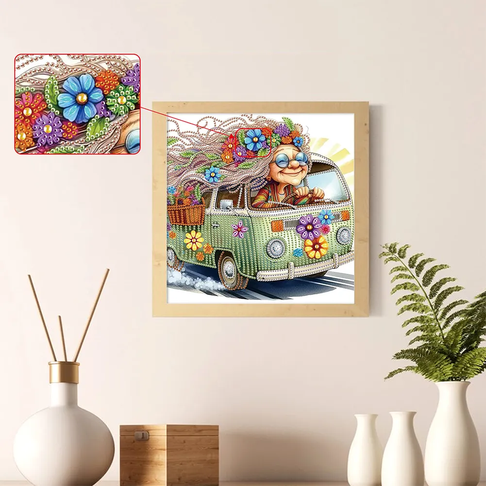 Diamond Painting - Partial Special Shaped Drill - Grandma(Canvas|30*30cm)
