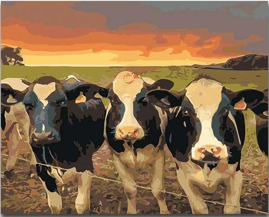 

A Herd of Cows – Paint By Numbers - 40*50CM, 501 Original
