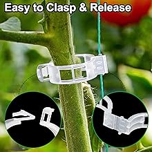 plant support clips