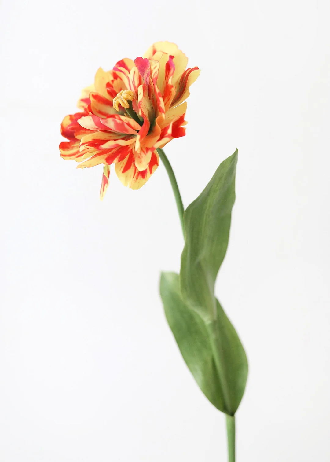 Red Yellow Artificial Tulip Flower - 25"