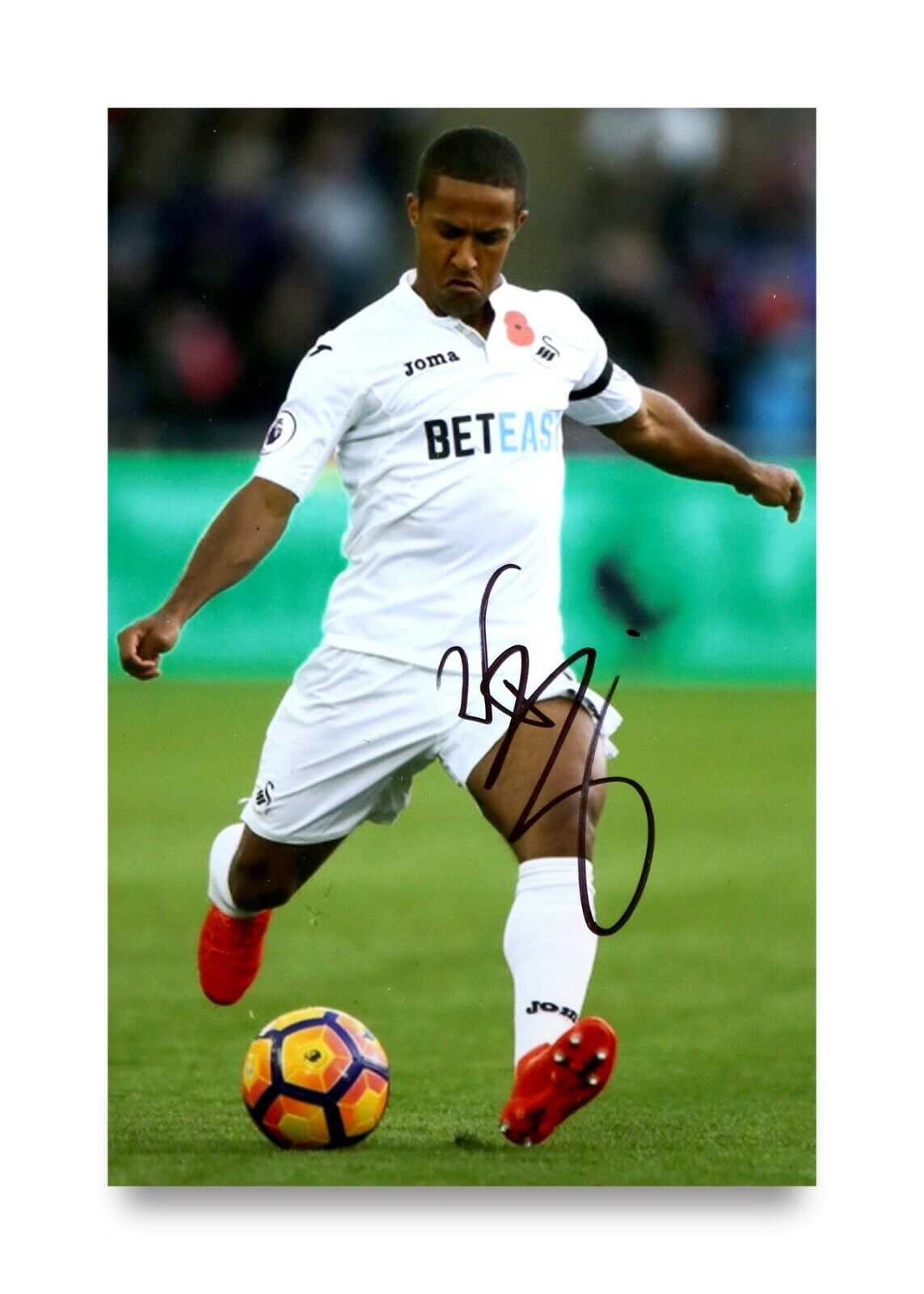 Wayne Routledge Signed 6x4 Photo Poster painting Swansea City QPR Newcastle Utd Autograph + COA