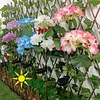 Solar LED Hydrangea Flower Light 10H Lighting Time Ground Plug Flower Light for Garden Pathway Patio Backyard Landscape Decor