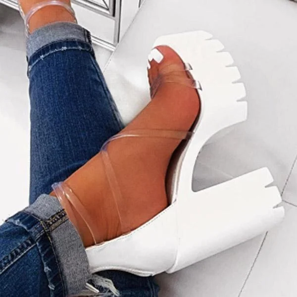 Chunky Heel Zipper Open Toe Strappy See-Through Sandals