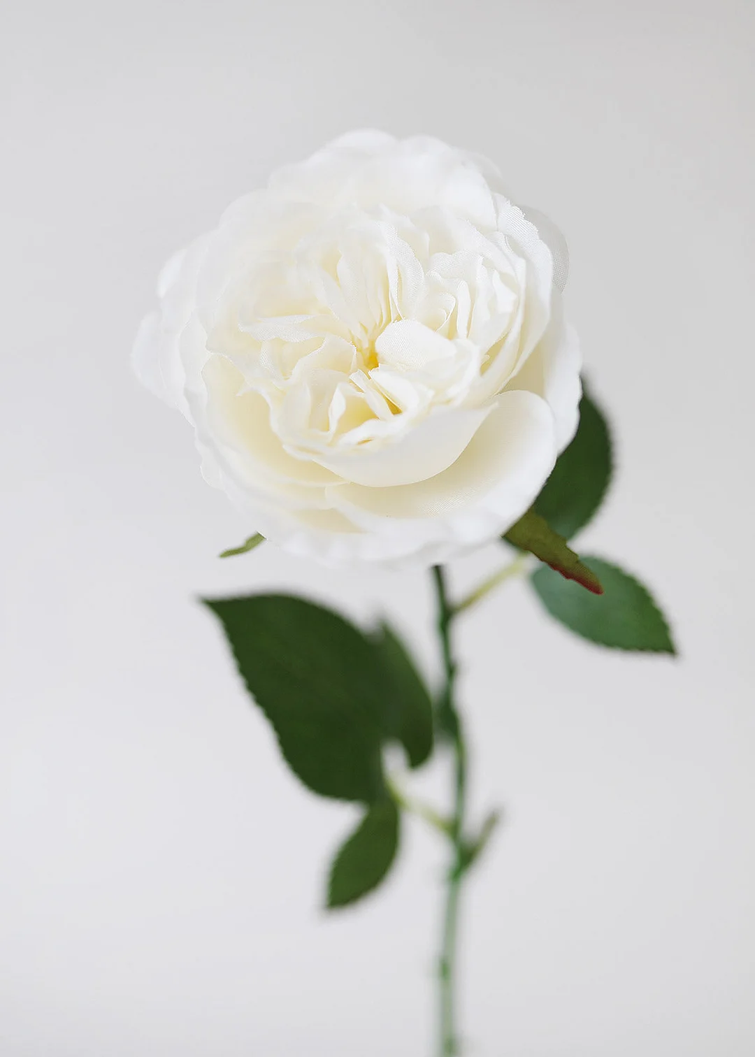 White English Cabbage Artificial Rose - 20.5"