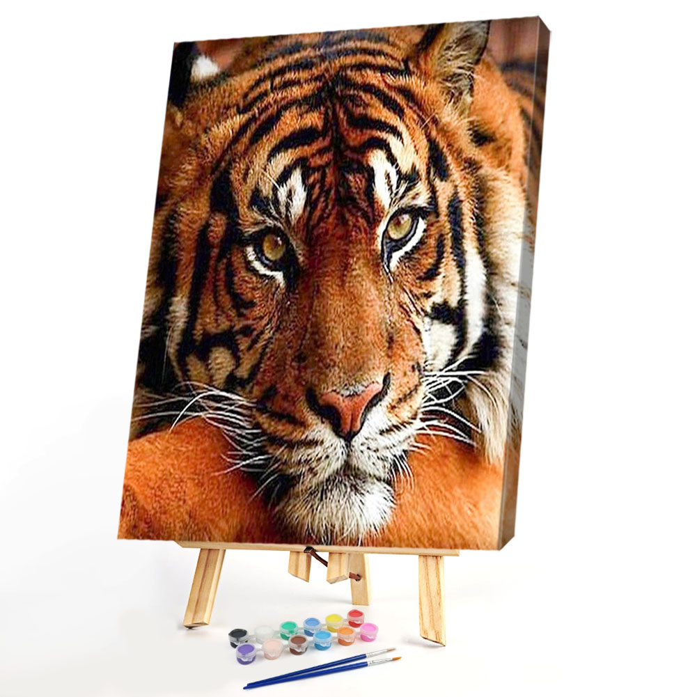 

40*50CM Paint By Numbers-Quiet Tiger, 501 Original