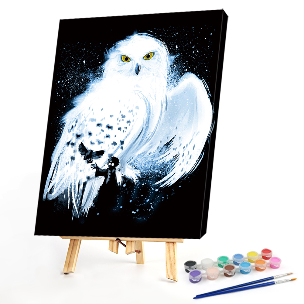 

40*50CM - Paint By Numbers - Harry Potter Messenger Hedwig, 501 Original