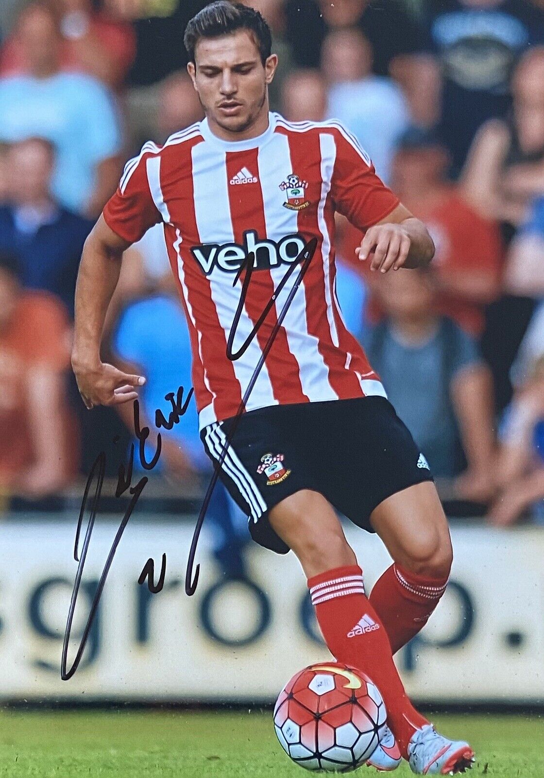 Cedric Soares Genuine Hand Signed Southampton 6X4 Photo Poster painting 2