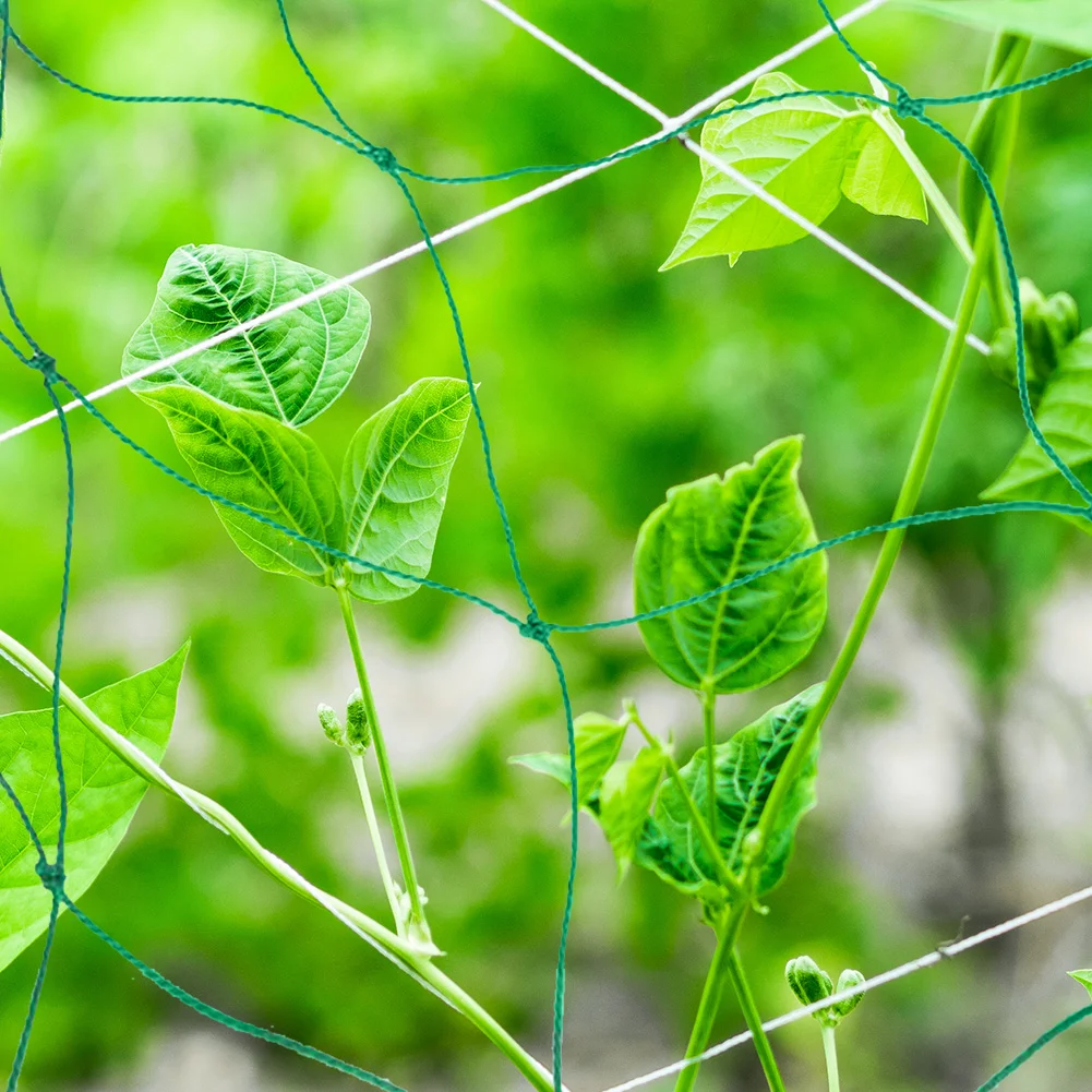 Garden Plants Climbing Netting Nylon Flower Vine Support Rope (1.8x2.7m)