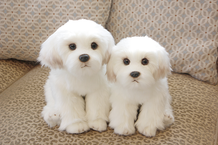Tegooe Realistic White Fluffy Puppy Stuffed Animal Doll - Simulation Pet Plush Toy