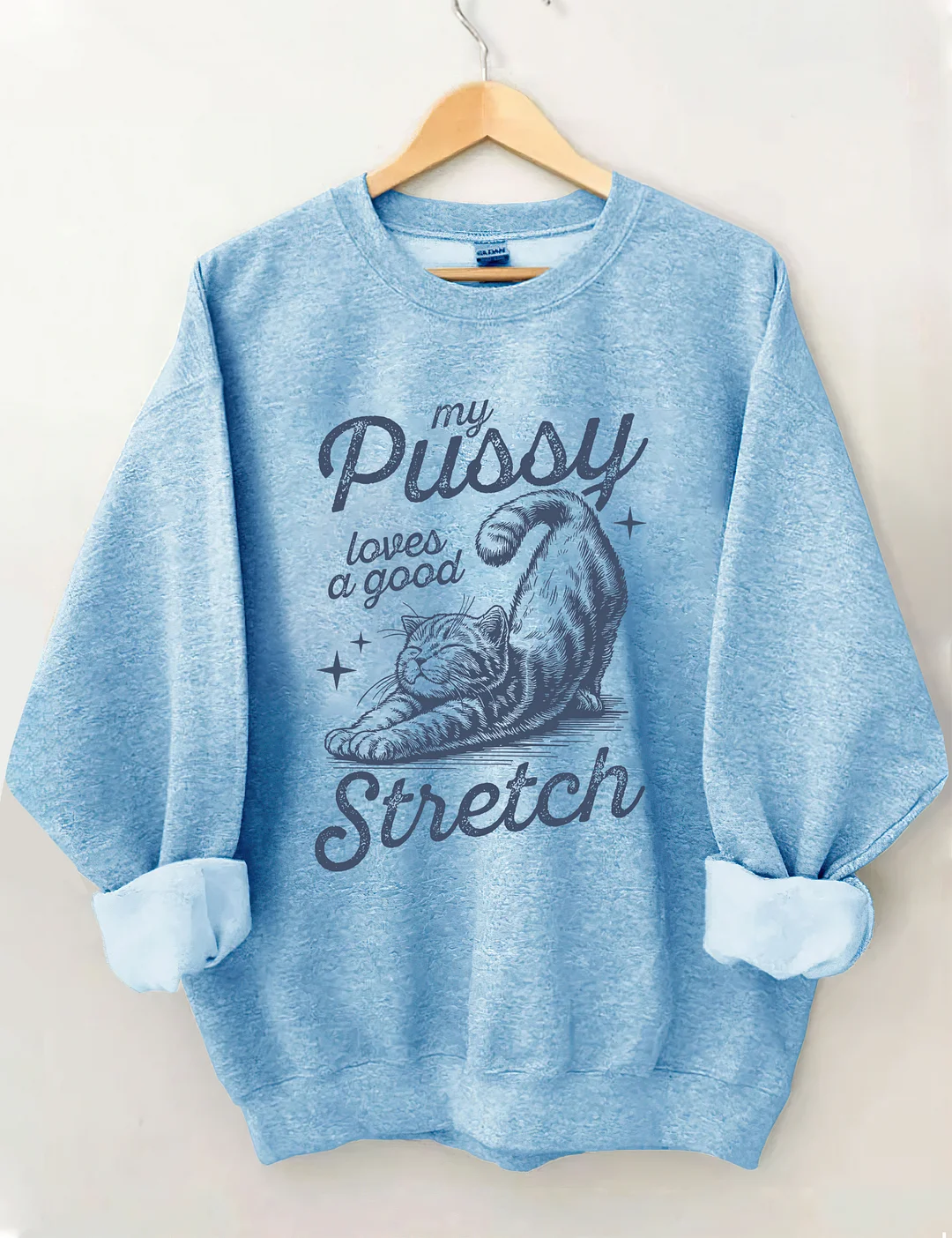 Funny Cat Sweatshirt