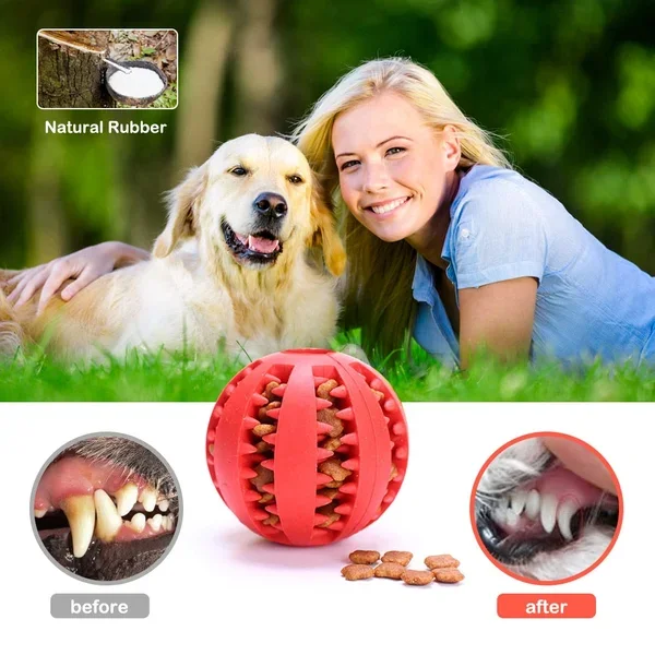 Pet Dog Toy tooth cleaning indestructible dog food ball